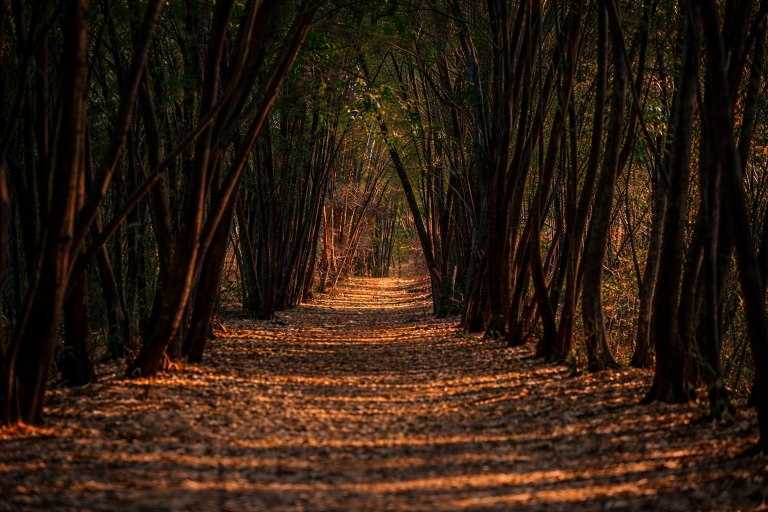 Bangalore