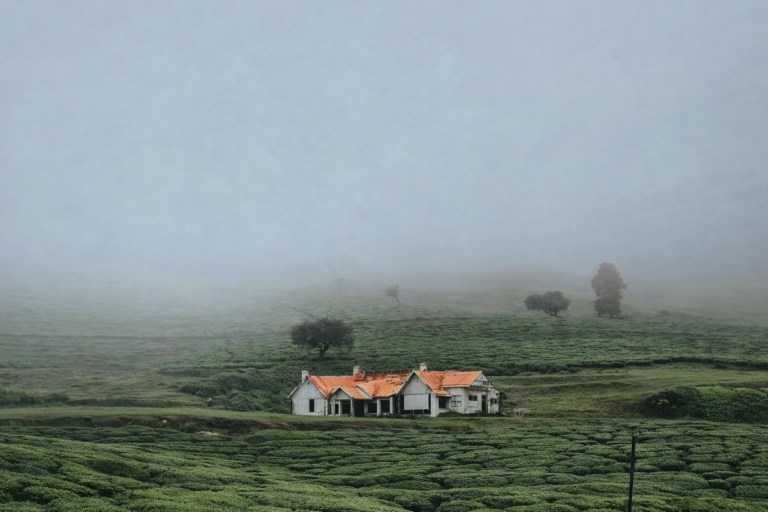 Ooty